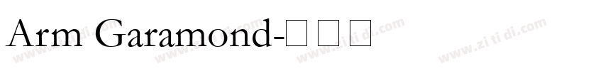Arm Garamond字体转换